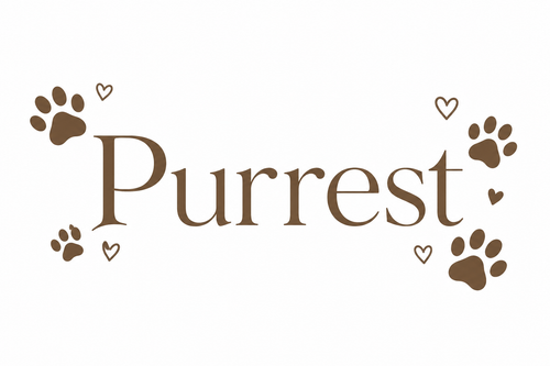 PurrNest